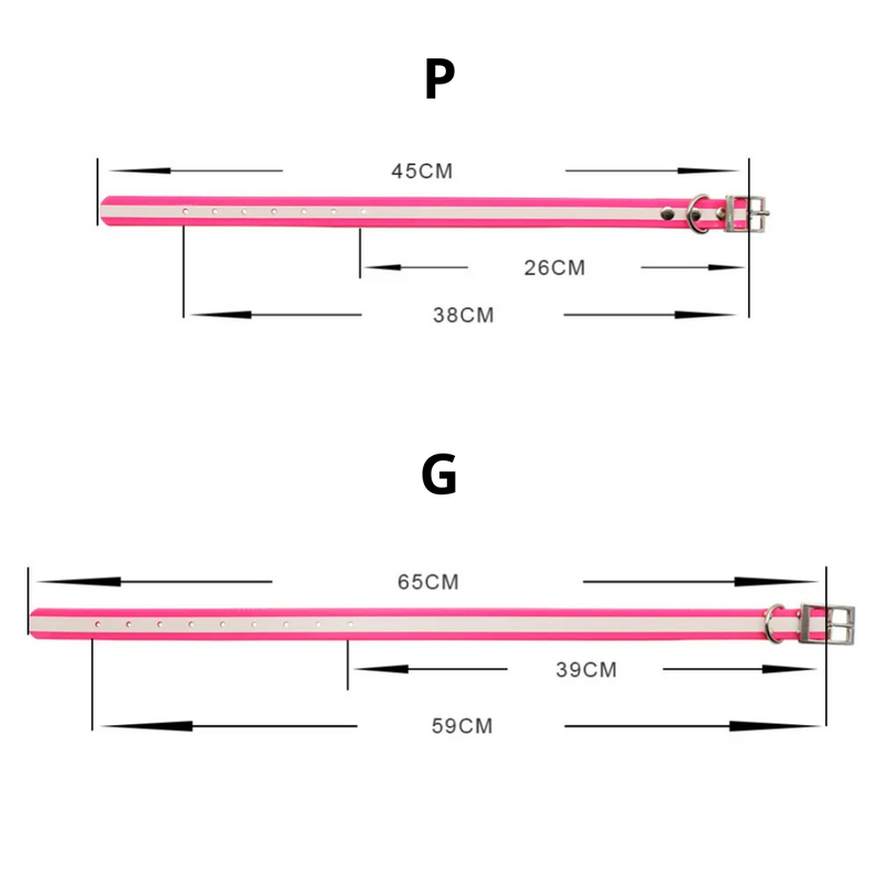 Coleira Fashion para Pets: Praticidade e Estilo em Cada Passeio