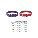 Colar Coleira Ajustável para Gatos com Conforto e Estilo