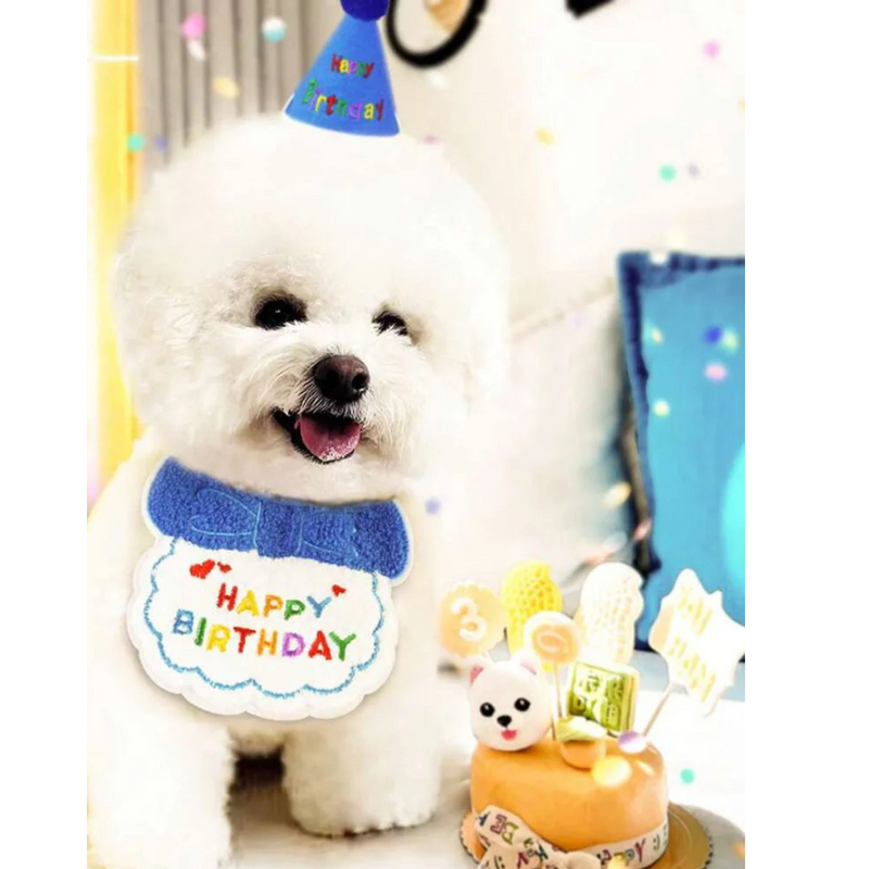 Conjunto de Chapéu e Babador para Aniversário de Cães e Gatos