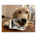 Brinquedo de Tecido Resistente para Pets: Diversão Segura e Duradoura