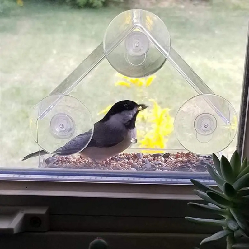 Comedouro Para Pássaros Casinha Atraente Para Beija-Flores no Seu Jardim