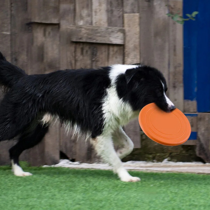 Frisbee de Silicone para Cachorros: Brincadeiras Leves e Divertidas ao Ar Livre