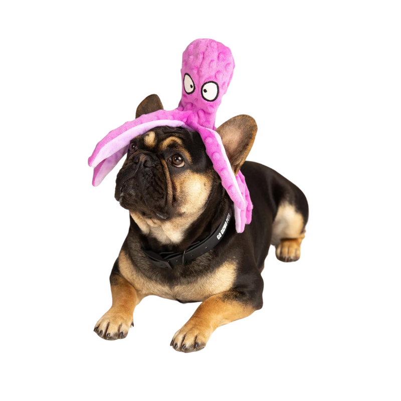 Polvo de Pelúcia Calmante para Pets: Conforto e Redução de Stress