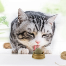 Bolinha de Catnip Interativa para Gatos com Adesivo Dupla Face – Brincadeira e Diversão Garantidas