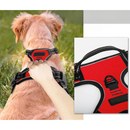 Coleira Peitoral Ajustável com Duas Fivelas para Conforto e Segurança