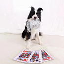 Brinquedo de Tecido Resistente para Pets: Diversão Segura e Duradoura