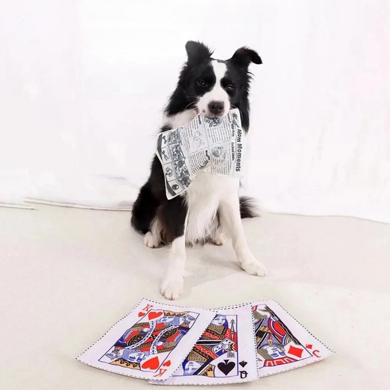 Brinquedo de Tecido Resistente para Pets: Diversão Segura e Duradoura