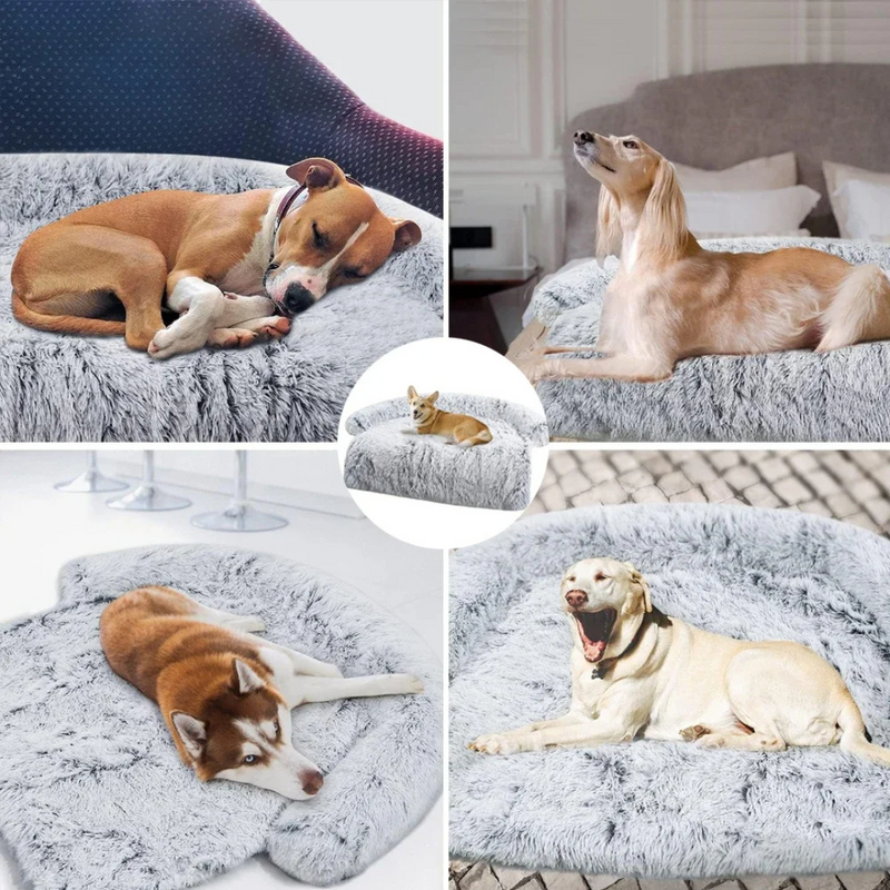 Sofá Cama Lavável para Pets com Cobertor Confortável
