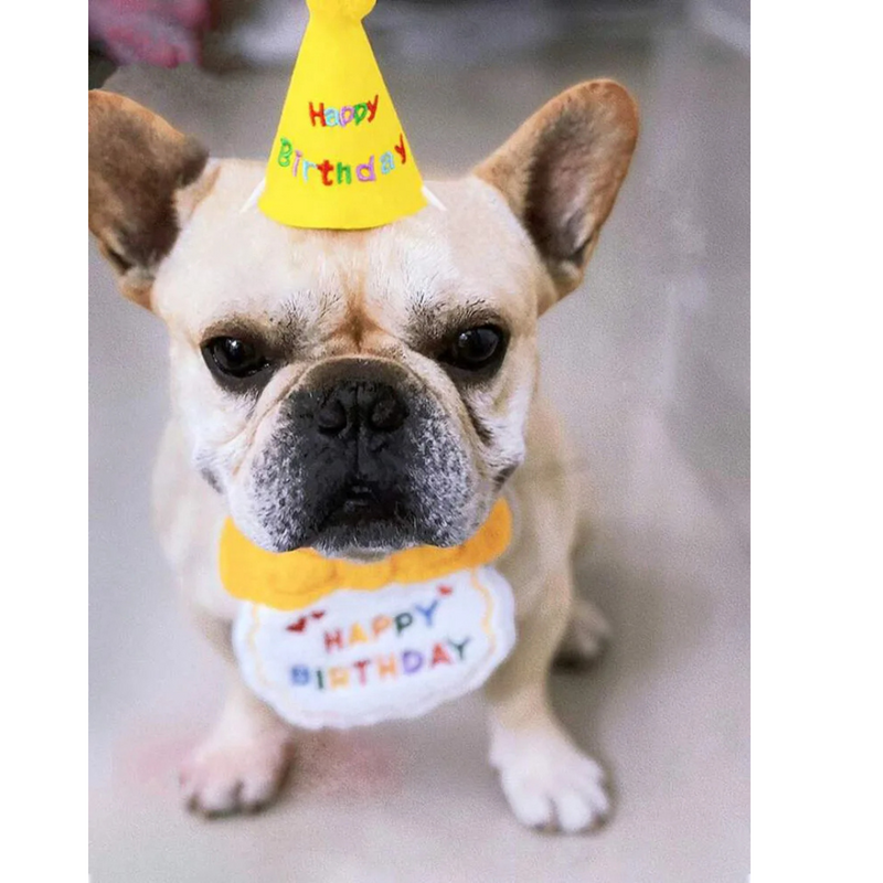 Conjunto de Chapéu e Babador para Aniversário de Cães e Gatos