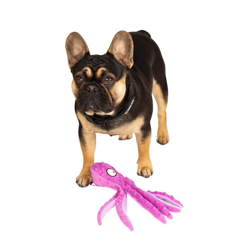 Polvo de Pelúcia Calmante para Pets: Conforto e Redução de Stress