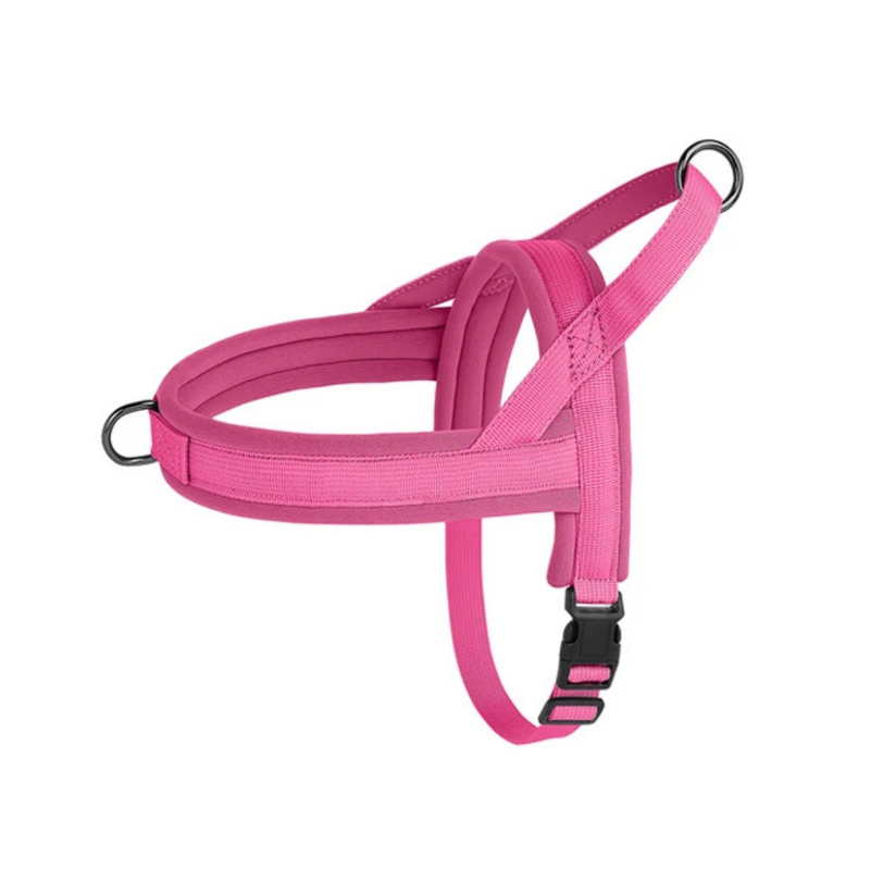 Coleira Peitoral Confortável para Cachorros com Duas Argolas de Guia
