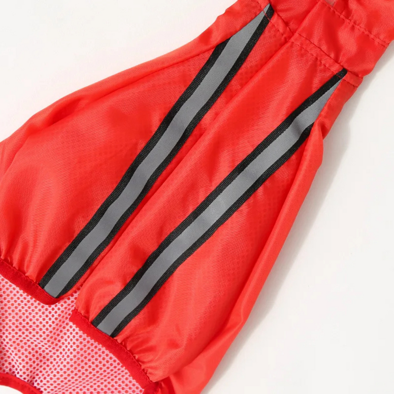 Capa de Chuva Para Cachorro Estilo Dinossauro: Conforto e Proteção em Dias Chuvosos