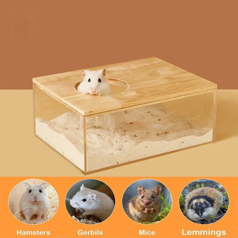 Banheira de Areia Confortável para Hamsters e Porquinhos da Índia - Transforme o Banho em Um Momento de Bem-Estar