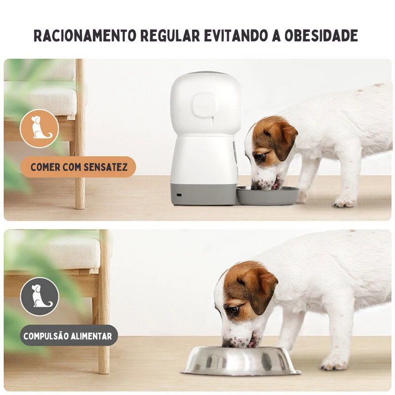 Alimentador Inteligente Automático para Cães e Gatos: Praticidade e Conforto na Alimentação Diária