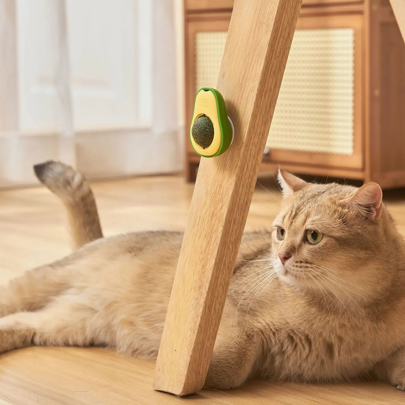 Brinquedo Abacate com Catnip: Diversão e Conforto para Seu Gato