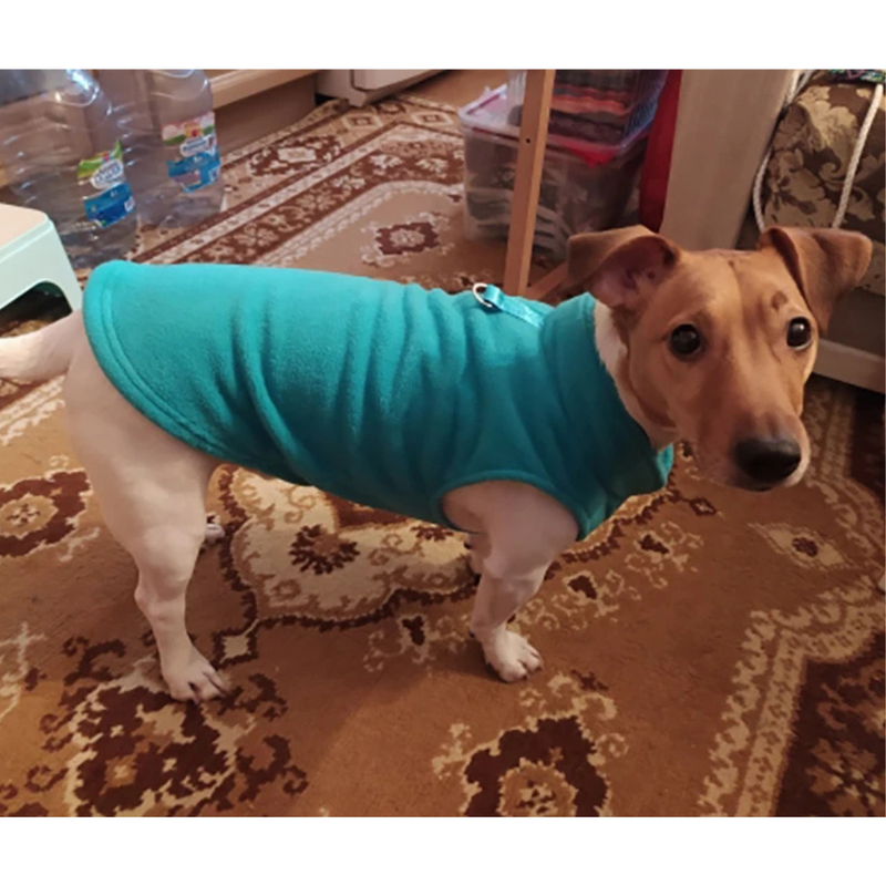 Suéter de Lã Confortável para Dachshunds e Pugs - Estilo e Aquecimento para Seu Melhor Amigo