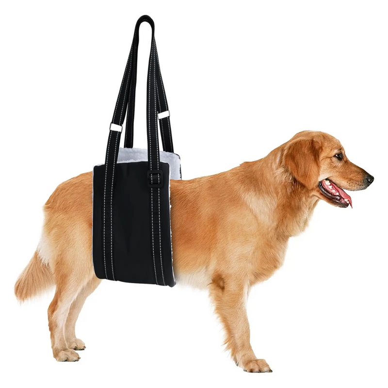 Sling de Apoio para Cachorros com Dificuldade de Caminhar – Conforto e Mobilidade para Pets com Artrite