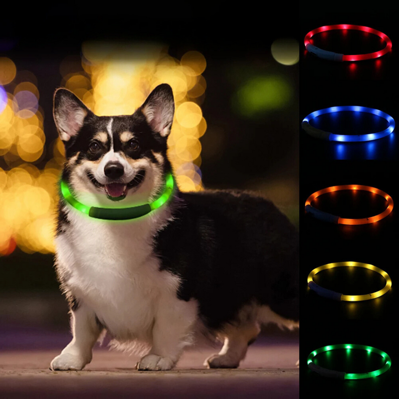 Coleira Led Recarregável: Segurança e Estilo para Seu Cachorro