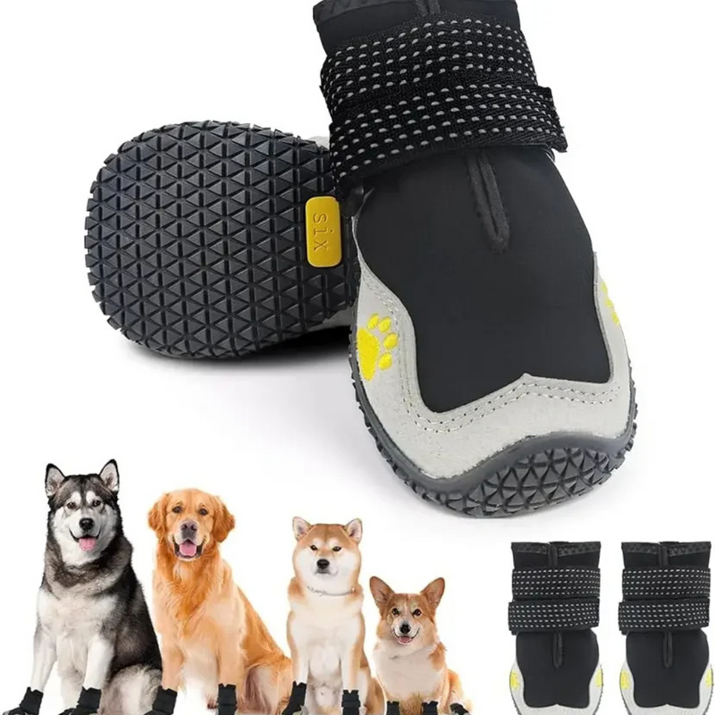 Bota Impermeável Confortável Para Seu Cão