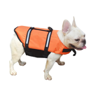 Colete Flutuante Para Cachorro: Proteção e Conforto na Natação