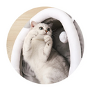 Iglu Acolchoado para Gatos: Conforto e Aconchego Para Seu Melhor Amigo