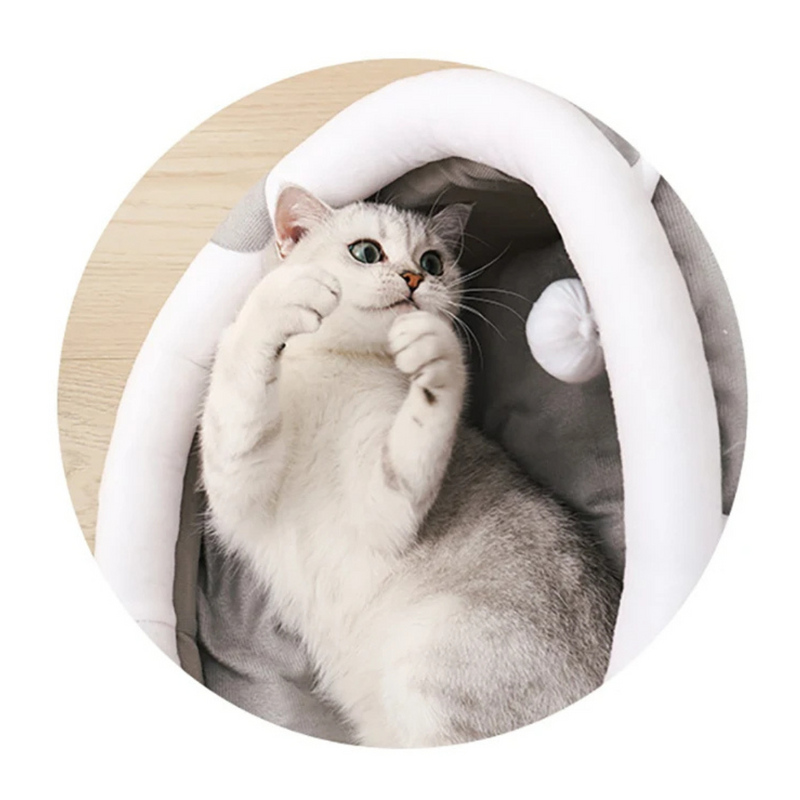 Iglu Acolchoado para Gatos: Conforto e Aconchego Para Seu Melhor Amigo