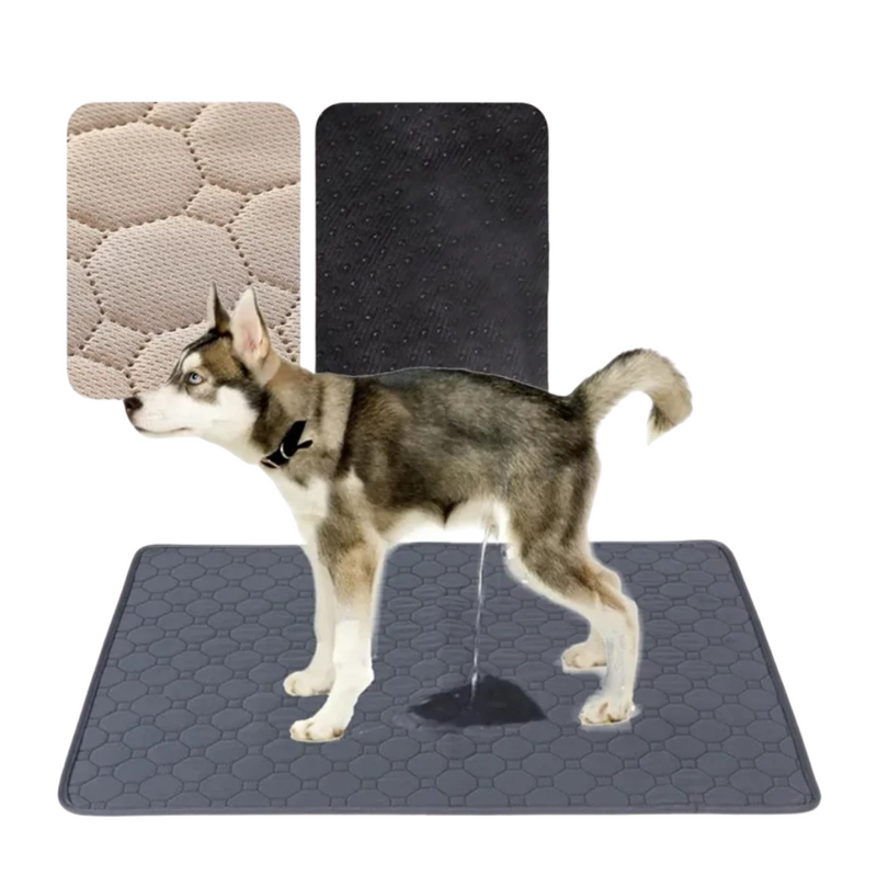 Tapete Higiênico Reutilizável Lavável para Conforto e Praticidade