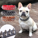 Coleira de Couro com Spikes: Estilo e Conforto para Seu Cão