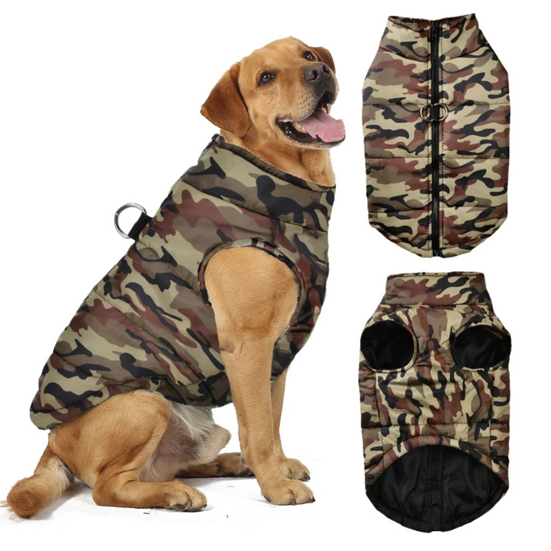 Jaqueta Camuflada Militar para Cachorros: Estilo e Conforto em Aventuras