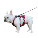 Coleira Peitoral Ajustável para Cachorros – Conforto e Segurança com Reflexividade em 6 Pontos