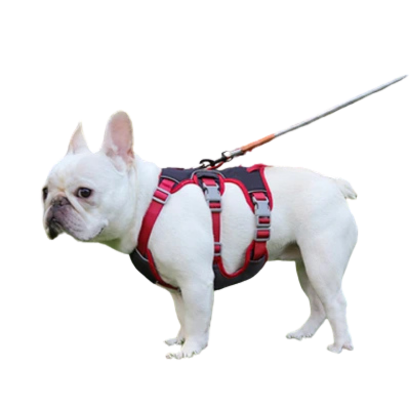 Coleira Peitoral Ajustável para Cachorros – Conforto e Segurança com Reflexividade em 6 Pontos