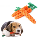 Brinquedo Pet Cenoura Resistente: Diversão e Conforto para Seu Cão