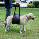 Sling Confortável Para Patas Traseiras de Cachorros em Recuperação Cirúrgica - Tela Respirável