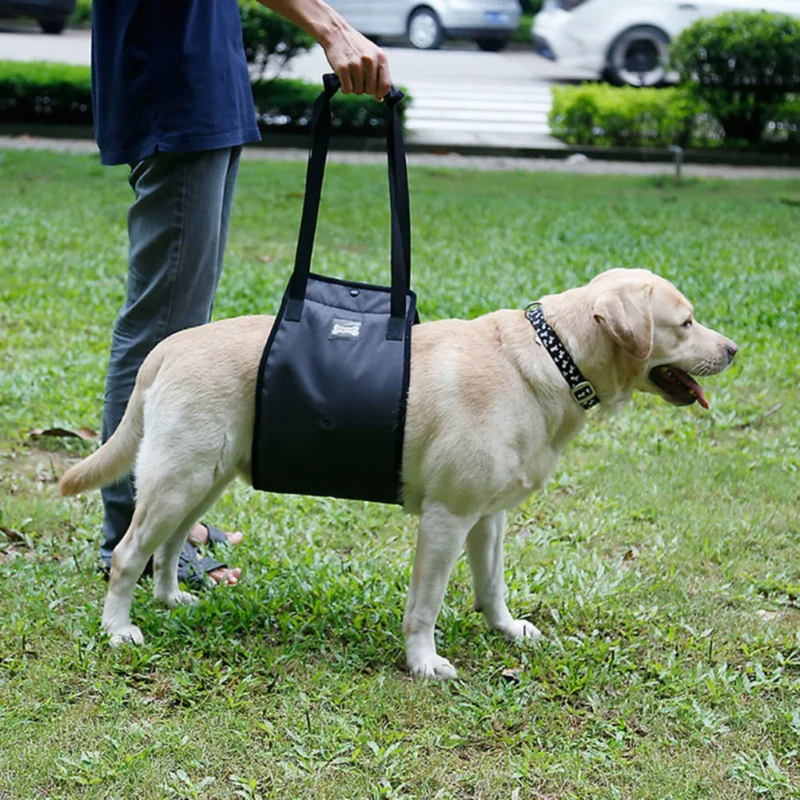 Sling Confortável Para Patas Traseiras de Cachorros em Recuperação Cirúrgica - Tela Respirável