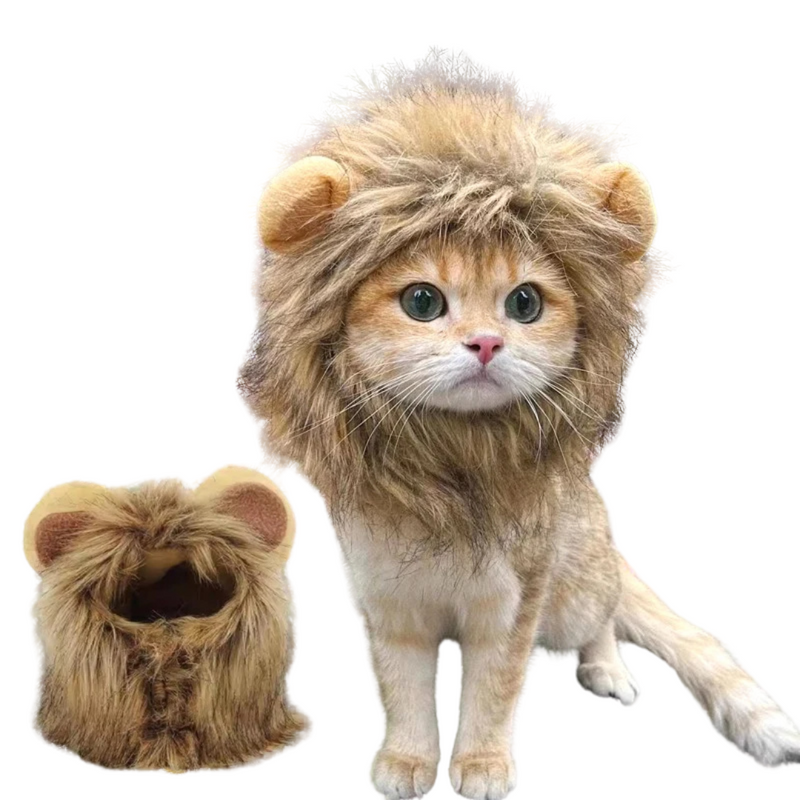 Juba de Leão: Fantasia Divertida para Gatos