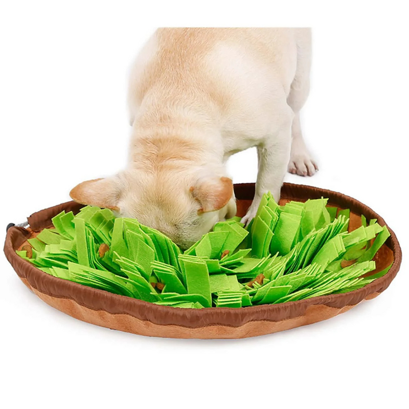 Tapete Interativo para Cachorros: Alimentação Divertida na Horta Fazendinha