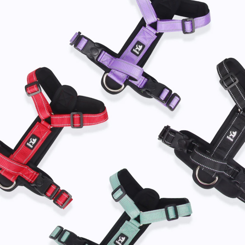 Peitoral Reflexivo Anti Fuga para Cães de Médio Porte – Conforto e Segurança na Passeio