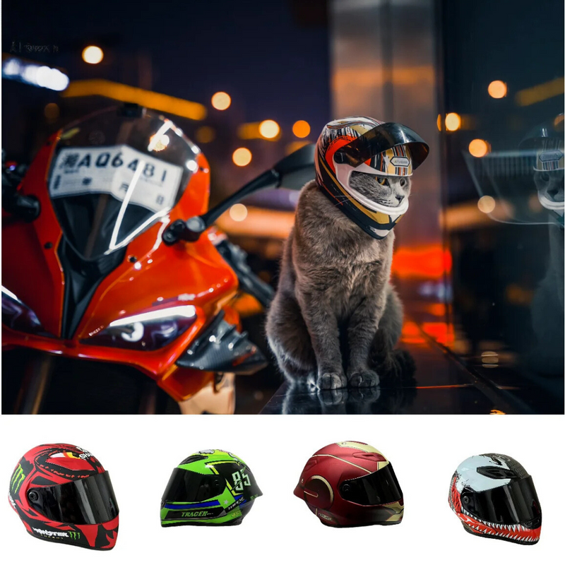 Capacete Protetor para Aventura de Cães e Gatos