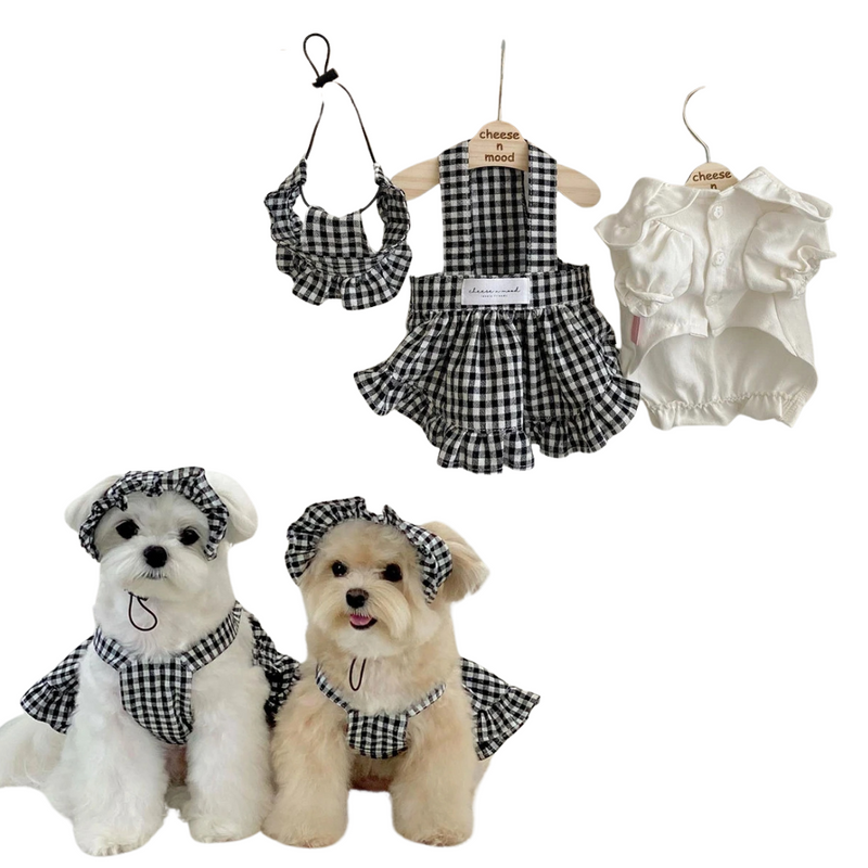 Vestido Xadrez Clássico para Cachorros - Estilo e Conforto na Festa Junina