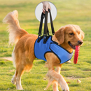 Sling Suporte para Cães em Reabilitação: Conforto e Mobilidade para Pets com Dificuldades de Locomoção