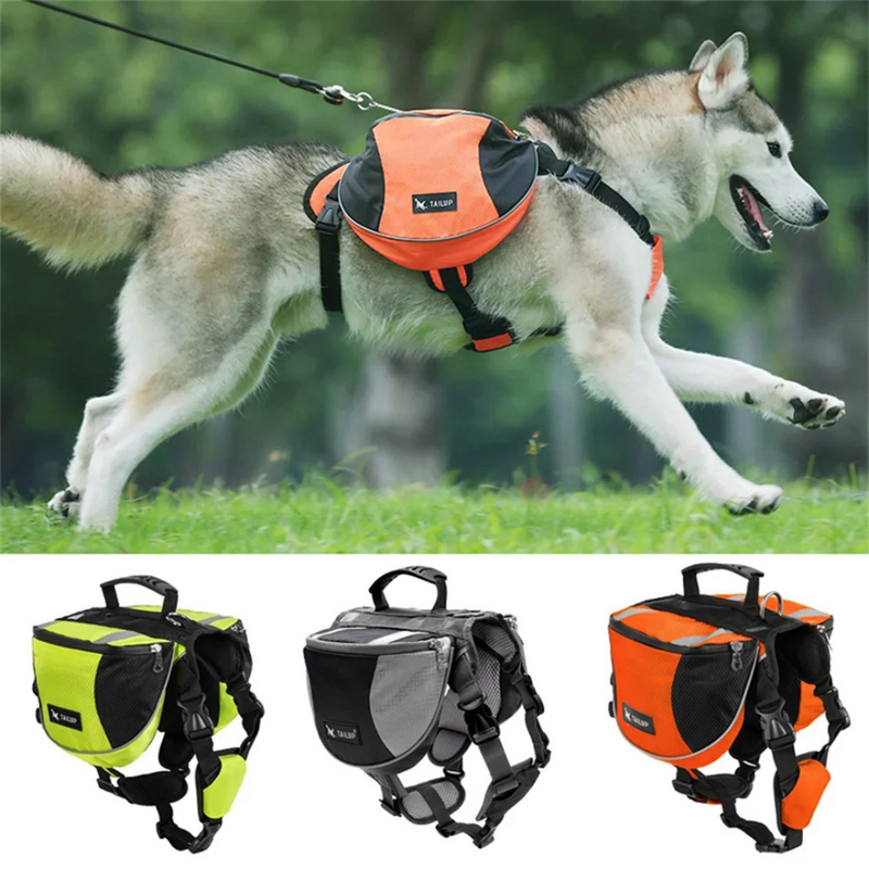 Bolsa Prática para Adestramento e Treinamento de Cães