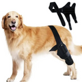 Joelheira Ortopédica para Cachorros: Conforto e Mobilidade para Pets com Dificuldade de Andar