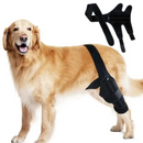 Joelheira Ortopédica para Cachorros: Conforto e Mobilidade para Pets com Dificuldade de Andar