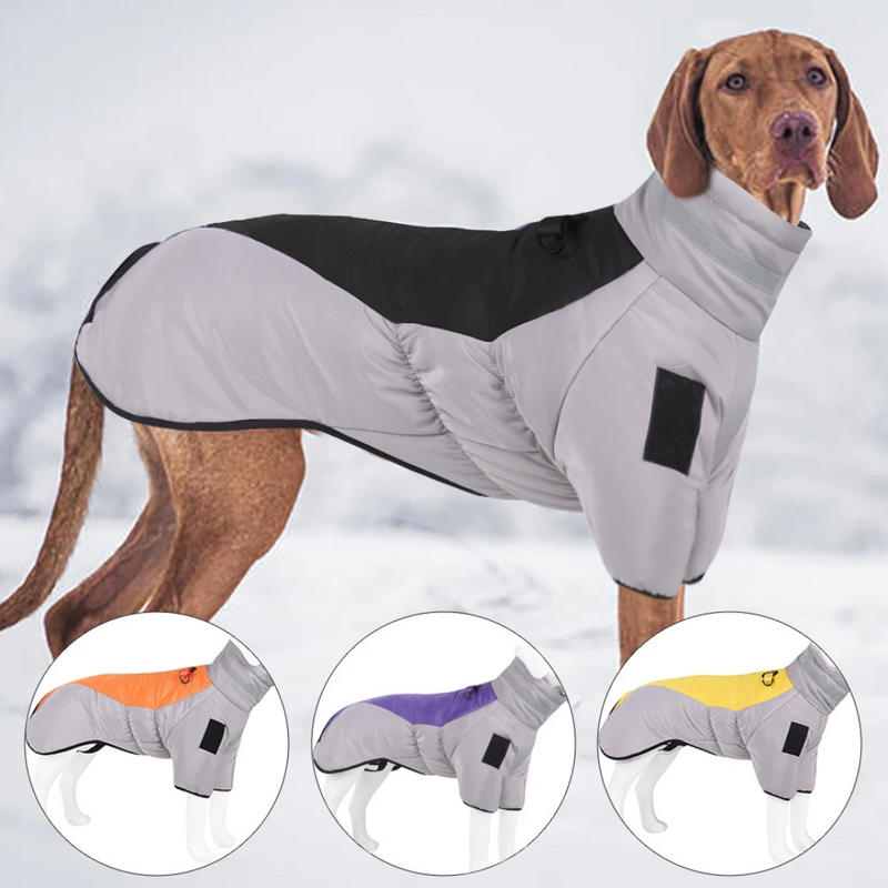 **Jaqueta Impermeável com Colar Alto para Conforto e Proteção do Seu Cachorro**