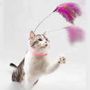 Varinha com Pena para Gatos: Brincadeira e Aventura em Cada Movimento