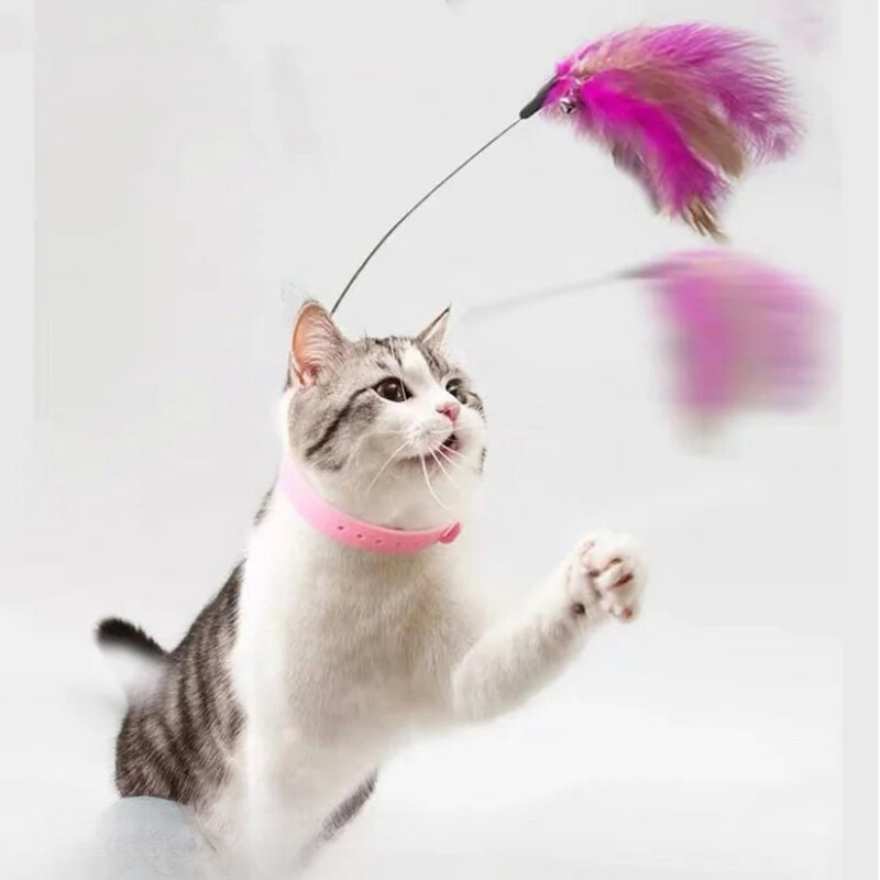 Varinha com Pena para Gatos: Brincadeira e Aventura em Cada Movimento