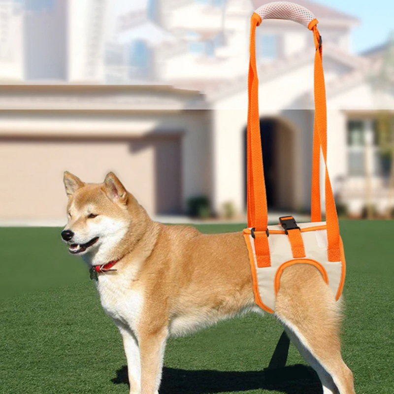 Cinta Sling Confortável para Ajudar Cachorros com Dificuldade de Mobilidade