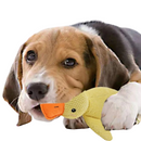 Pato de Pelúcia Confortável para Seu Pet