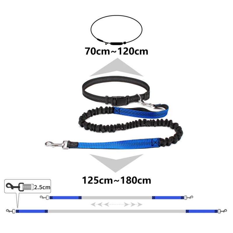 Cinto Elástico Para Cães: Conforto e Liberdade em Passeios