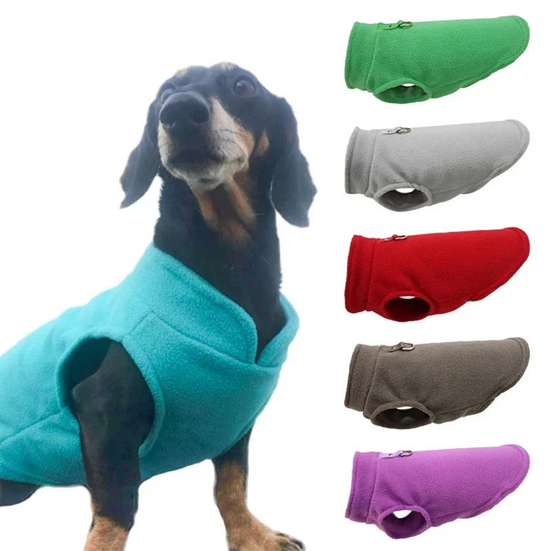 Suéter de Lã Confortável para Dachshunds e Pugs - Estilo e Aquecimento para Seu Melhor Amigo
